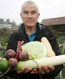 Aquaponics Harvest Time